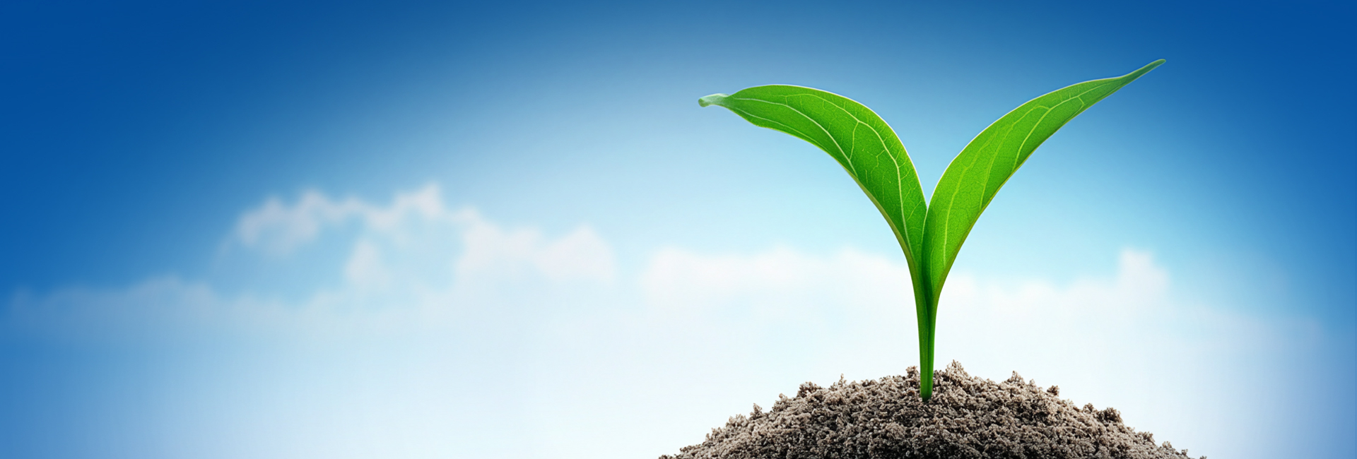 首页- 南宫NG28国际集团官方网站